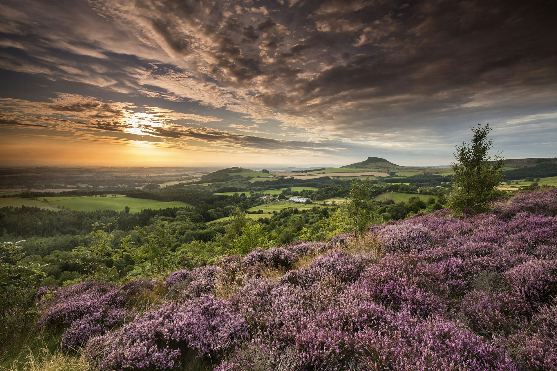 The sun sets lighting up the grey clouds in the sky. There's purple heather in the foreground, and uninterrupted countryside stretching into the distance